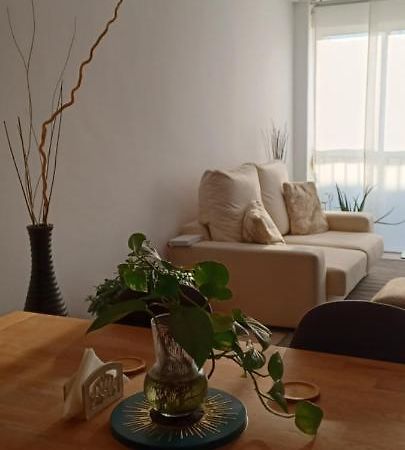 Apartamento Entero De Tres Habitaciones, Cerca De La Playa! Acogedor, Luminoso Y Tranquilo Malgrat de Mar Exterior photo